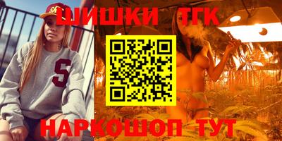 амф Шахты