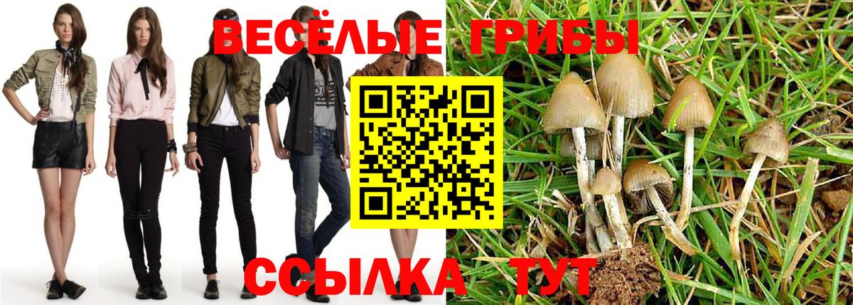 Галлюциногенные грибы ЛСД Богородск