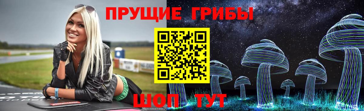 Богородск  Псилоцибиновые грибы Magic Shrooms  Вход с VPN 
